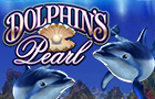 Dolphin`s Pearl