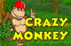 Crazy Monkey